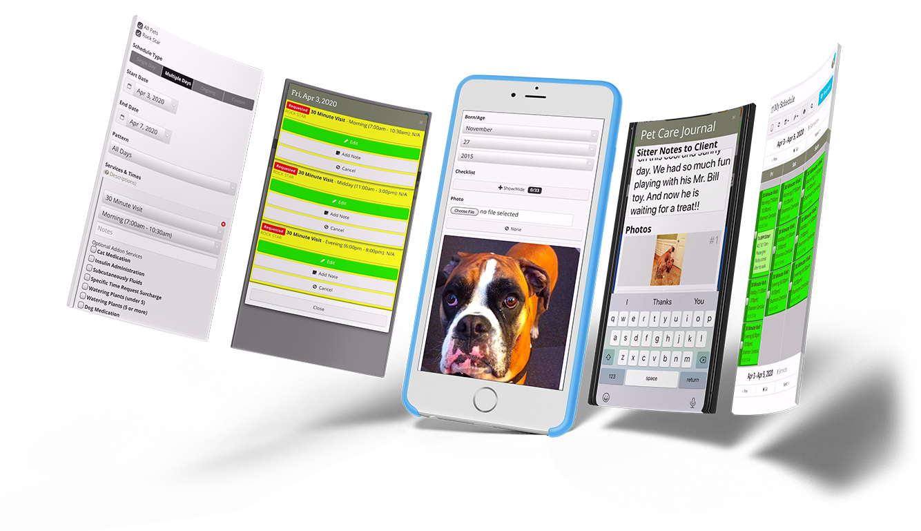 buckhead pet pals atlanta dog walker buckhead pet pals dog walking pet sitting
