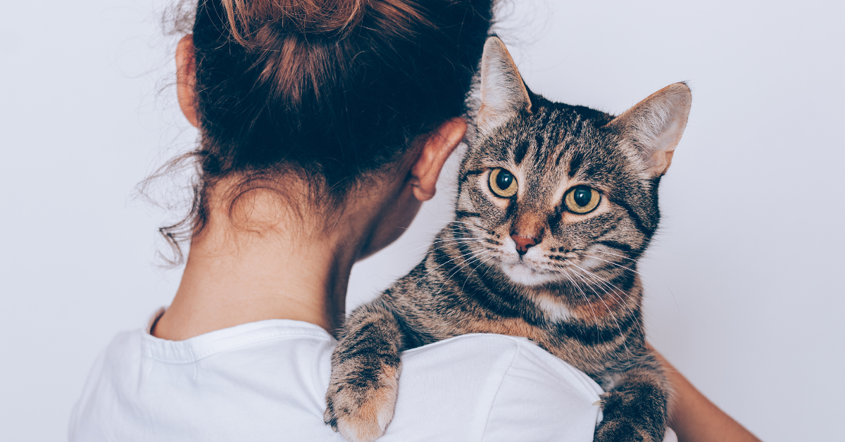 cat sitter with cat atlanta