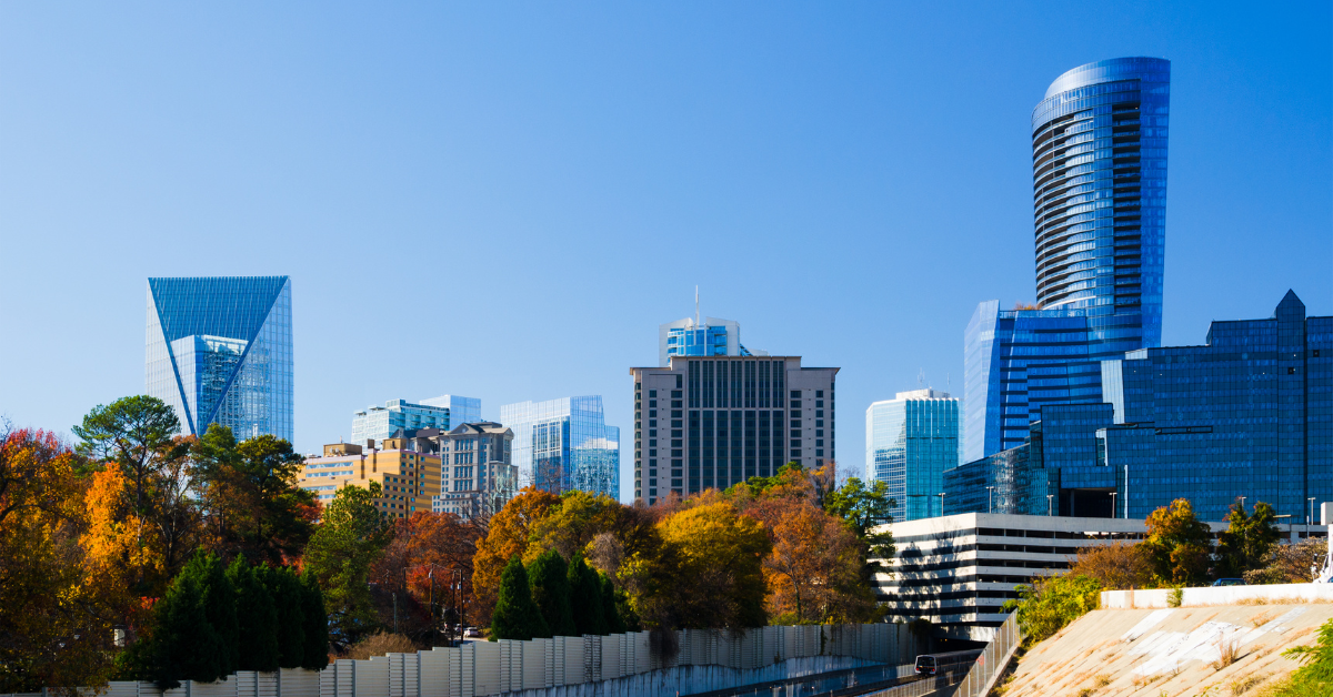 dog walking pet sitting atlanta buckhead