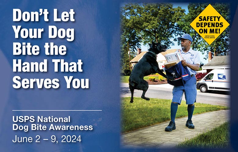 dog walker atlanta
