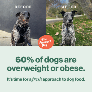 The Farmer's Dog 60% of dogs are overweight or obese