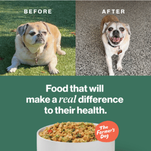 The Farmer's Dog Food Before and After Dog