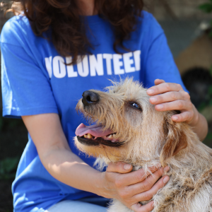 Fulton County Animal Shelter volunteer with dogs