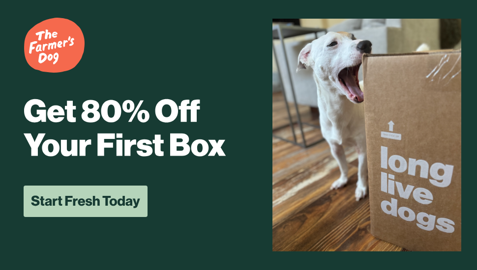 GET YOUR 80% OFF HERE