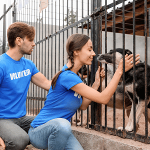 volunteer dog walkers PAWS Atlanta
