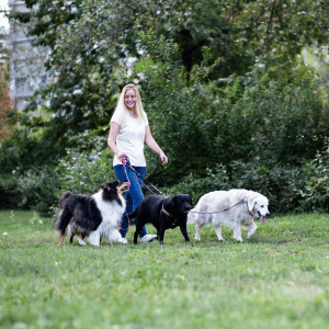 three dogs walking with Buckhead Pet Pals dog walk in Atlanta