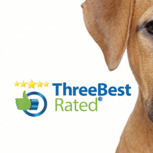Buckhead Pet Pals Three Best Rated Dog Walker in Atlanta