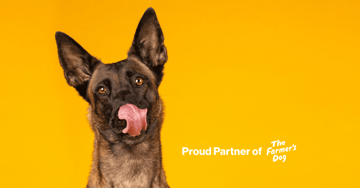 Dog licking it lips The Farmer's Dog Partner logo