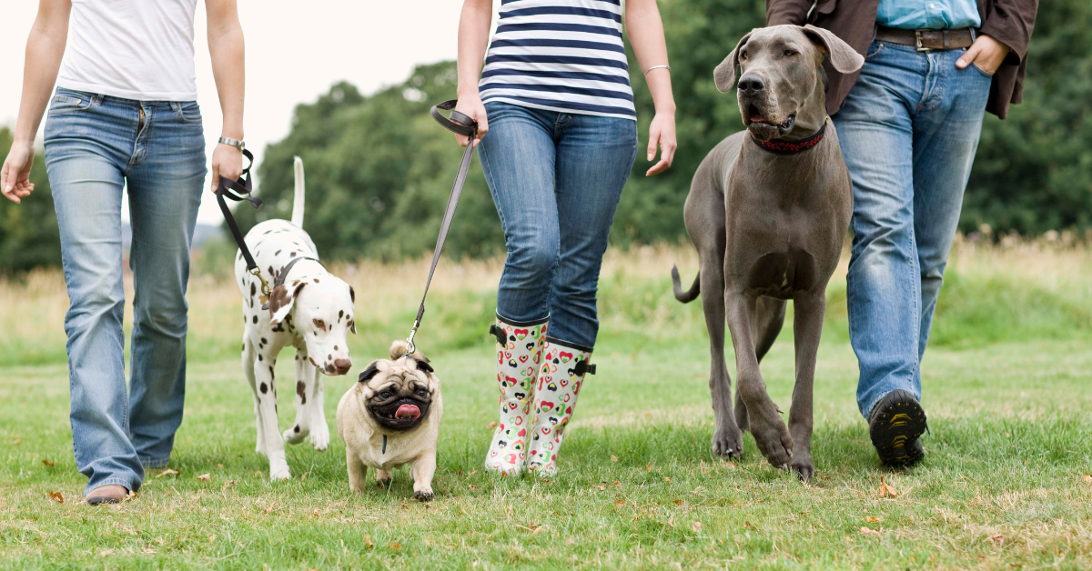 group of volunteer dog walkers at PAWS Atlanta